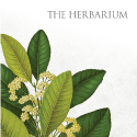 The Herbarium Membership